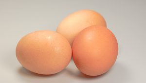 eggs-g5ba993a62_1920