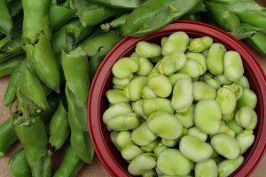 broad-beans-ge67aabbc0_1920