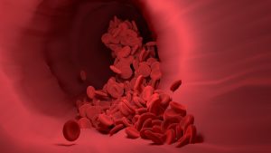 red-blood-cells-gde777a91f_1920